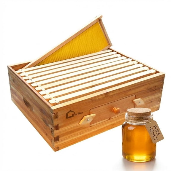 Studyset 10 Frame Deep Hive Box, Heavy Wax Coated Unassembled Deep/Brood Box With Frames And Beeswax Coated Foundation Sheet Bee Hive Boxes