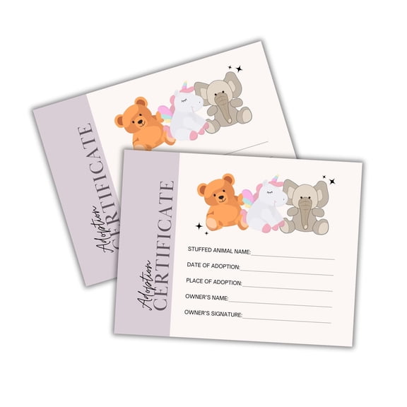 Stuffed Animal Adoption Certificates  50 pk 8.5x11 Paper Award Carrier Box Gift Card Care Kit for Kids Dragon Dog Cat Teddy Bear Adoption Day