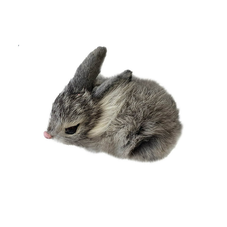 Toys that rabbits clearance like