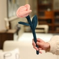 thumbnail image 1 of Stuffed Animals Rose Bouquet Plush Toy – Cute Valentine's Day & Proposal Gift for Her, Soft Huggable Plushies with Floral Design, Ideal Romantic Present for Girls and Women C, 1 of 7