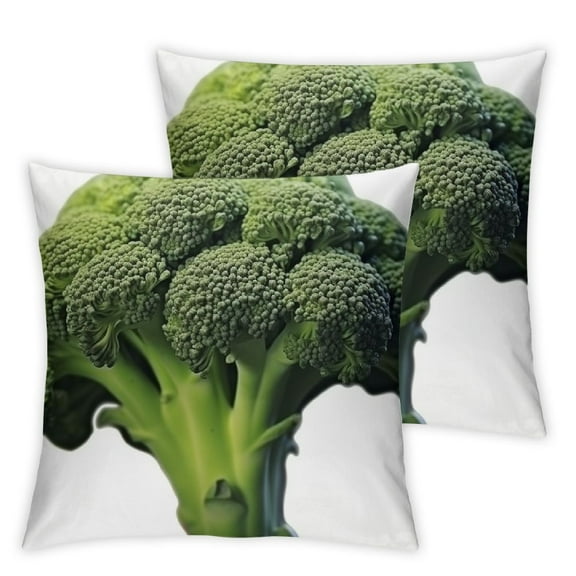 Stuffed Plush Throw Pillow Ornaments Bedroom Living Room Couch Sofa Decorations (Broccoli)