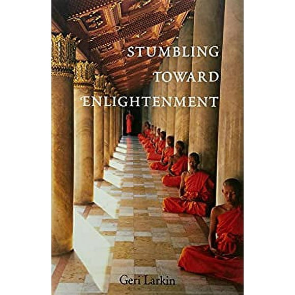 Pre-Owned Stumbling Toward Enlightenment 9781587613296 Used