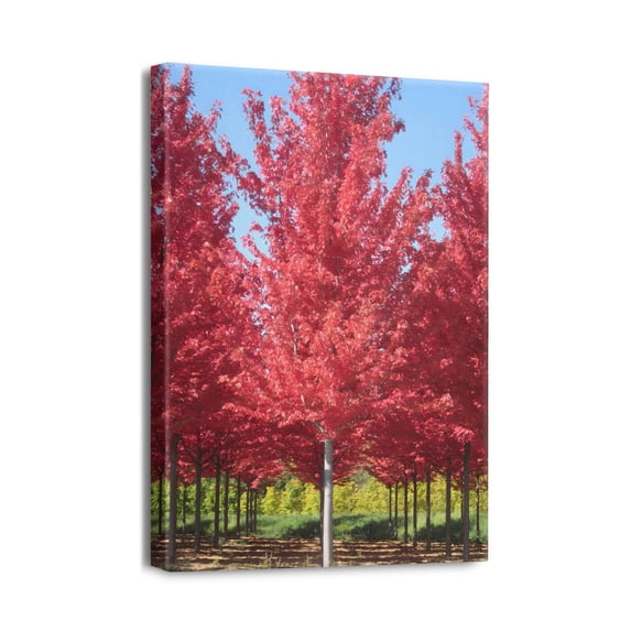 Stunning 12x16 Unframed Wall Art - Landscape Forest, Tree & Plant Scenery on Canvas - Waterproof, Removable Decor for Kitchen, Dining Room, Office