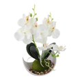 thumbnail image 1 of Stunning Artificial Butterfly Orchid for Table Centerpieces and Home Decor, 1 of 6