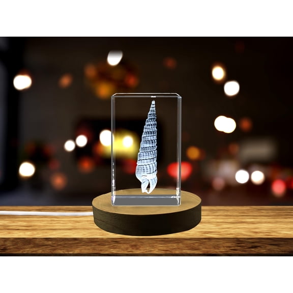 Stunning Auger Seashell Engraved Crystal Sculpture - Unique Decor Gift for Coastal Lovers