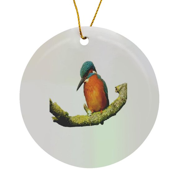 3drose, Stunning Brighly Colored River Bird Vector Art, Circle Porcelain Ornament