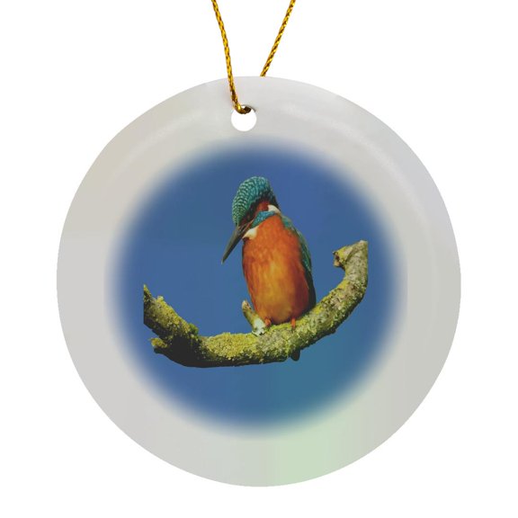 3drose, Stunning Brightly Colored River Bird Vector Art, Circle Porcelain Ornament