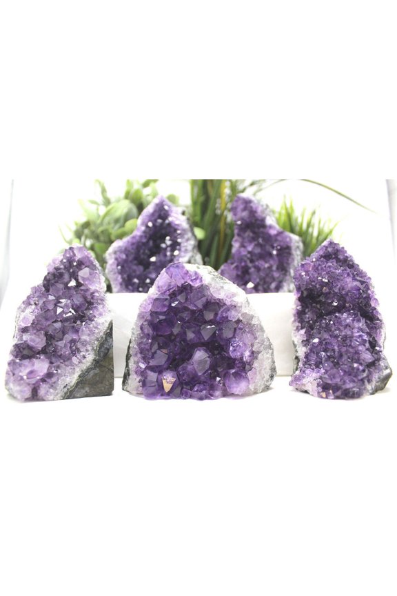 Stunning EXTRA LARGE Amethyst Cut Base Cluster Crystal Quartz Geode 12 oz - 1 lb