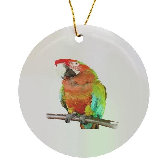 3drose, Stunning Harlequin Macaw on a Perch Vector Art, Circle Porcelain Ornament