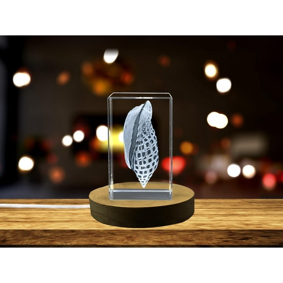 Stunning Junonia Seashell Engraved Crystal Sculpture - Perfect Coastal Decor Gift