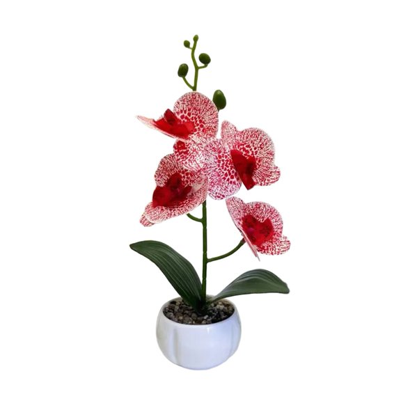 Stunning Phalaenopsis Orchid 3D Printed Flower Pot For Any Decorative Setup