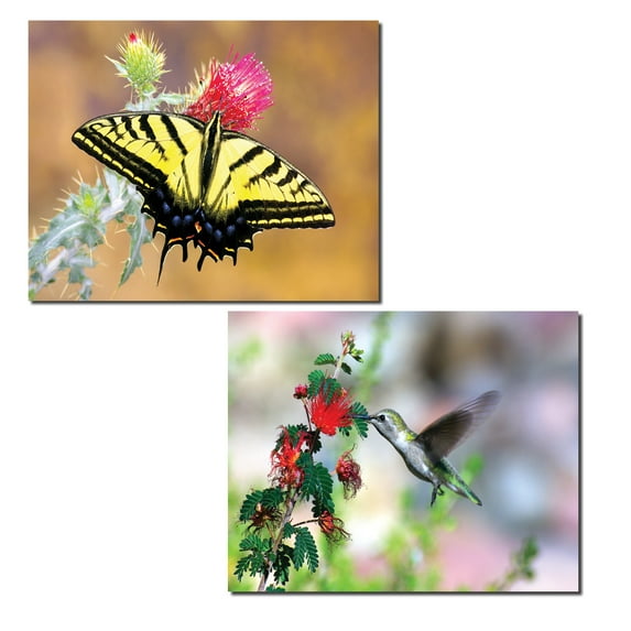 Stunning Swallowtail Butterfly and Hummingbird Nature Photograph Print Set; Two 14x11in Poster Prints