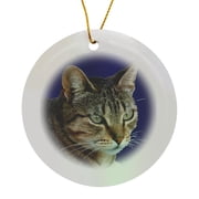 3drose, Stunning Tabby Cat Acrylic Pet Portrait, Circle Porcelain Ornament
