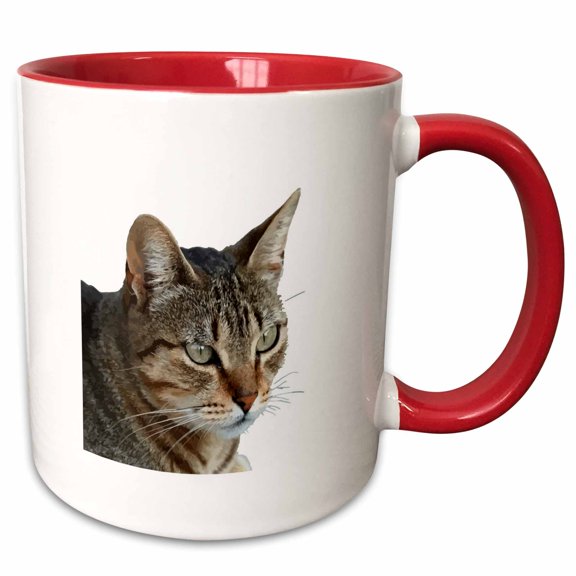 3drose, Stunning Tabby Cat Close up Portrait Vector Isolated, 11oz Two-tone Red Mug