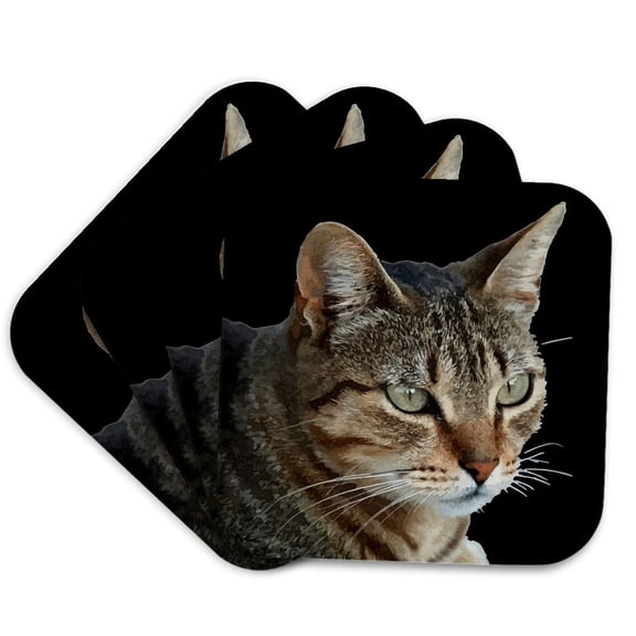3drose, Stunning Tabby Cat Close up Portrait Vector on Black Background, Set of 4 Coasters - Soft
