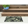 thumbnail image 1 of Stunning Transitional 2' x 3' Black and Green Polypropylene Outdoor Area Rug, 1 of 7