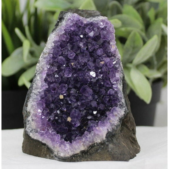 Stunning VERY LARGE Amethyst Cut Base Cluster Crystal Quartz Geode 1.1 - 1.8 lb