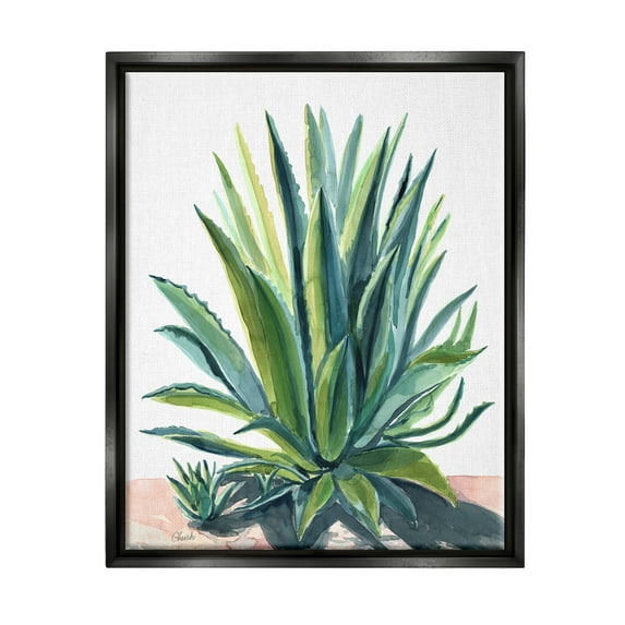 Stupell Aloe Plant Botanical Leaves Botanical & Floral Painting Black Floater Framed Art Print Wall Art