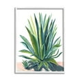 thumbnail image 1 of Stupell Aloe Plant Botanical Leaves Botanical & Floral Painting White Framed Art Print Wall Art, 1 of 7