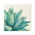 thumbnail image 1 of Stupell Aloe Plant Watercolor Style Leaves Botanical & Floral Painting Gallery Wrapped Canvas Print Wall Art, 1 of 7