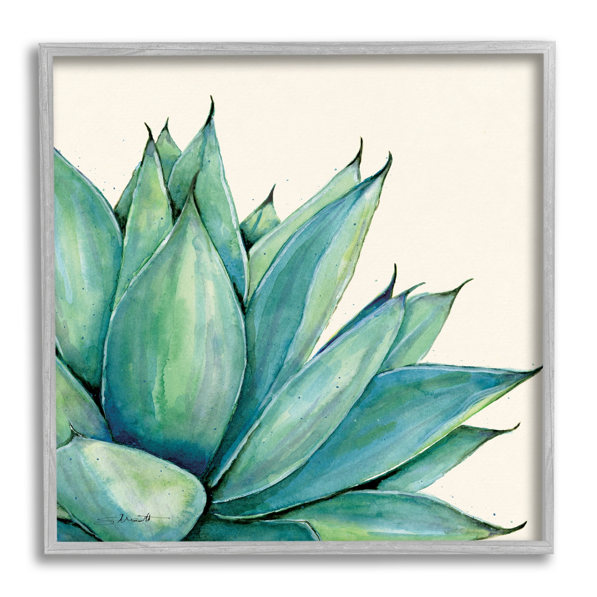 Stupell Aloe Plant Watercolor Style Leaves Botanical & Floral Painting Gray Framed Art Print Wall Art