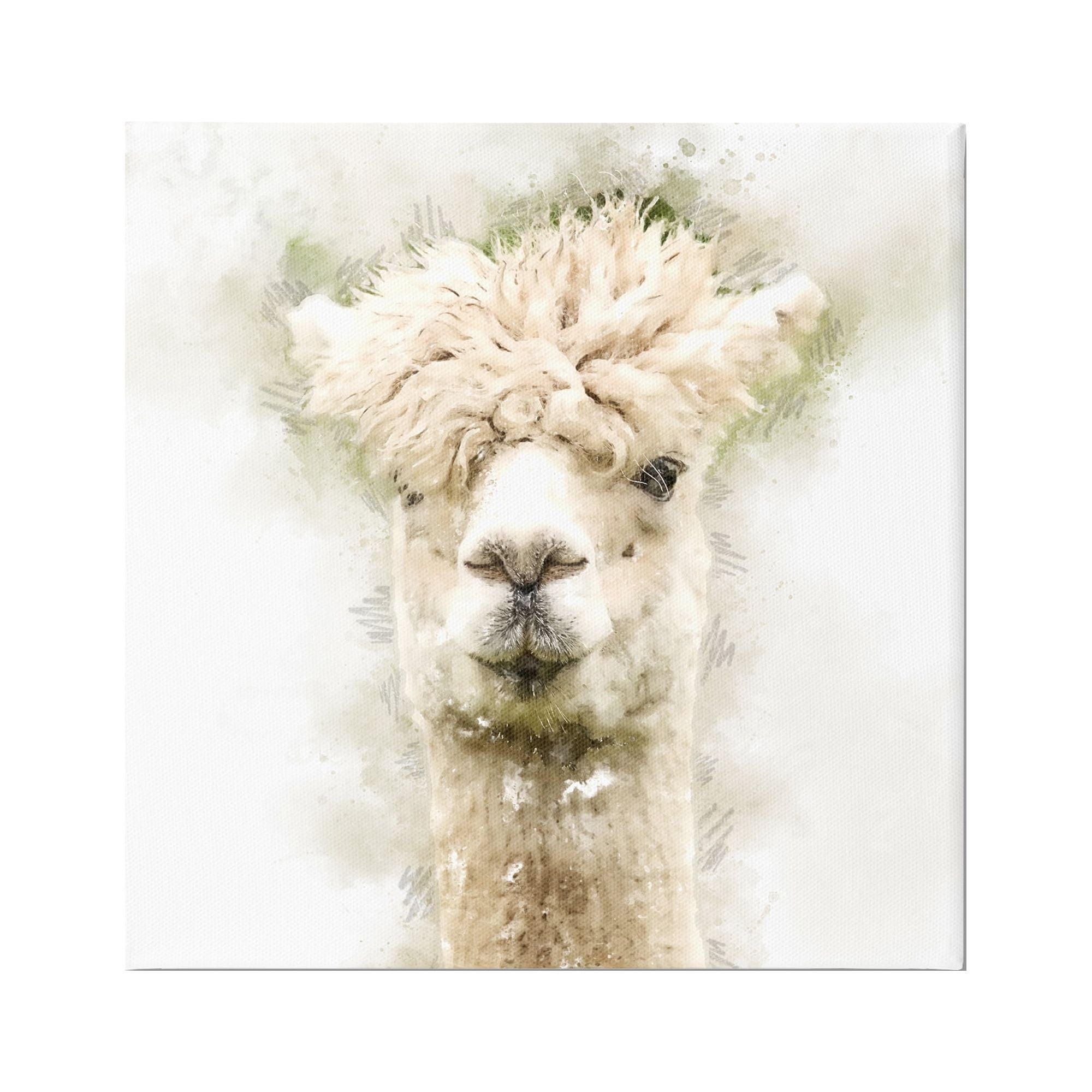 Stupell Alpaca Portrait Abstract Animal Animals & Insects Painting Gallery Wrapped Canvas Print Wall Art