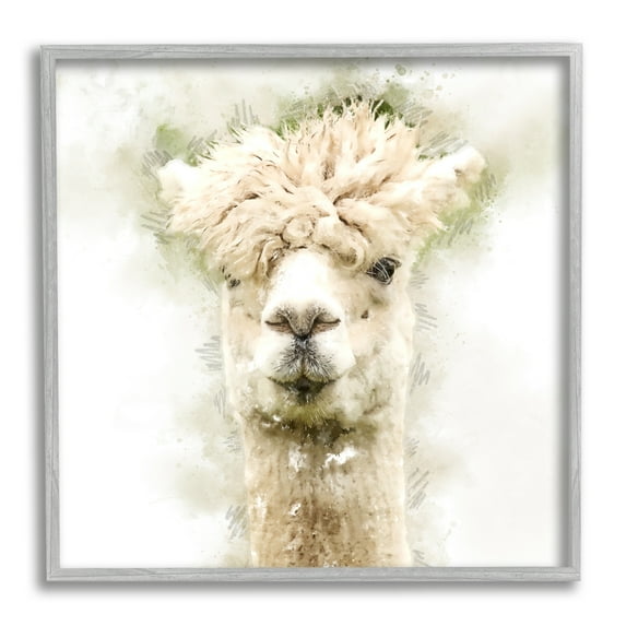 Stupell Alpaca Portrait Abstract Animal Animals & Insects Painting Gray Framed Art Print Wall Art
