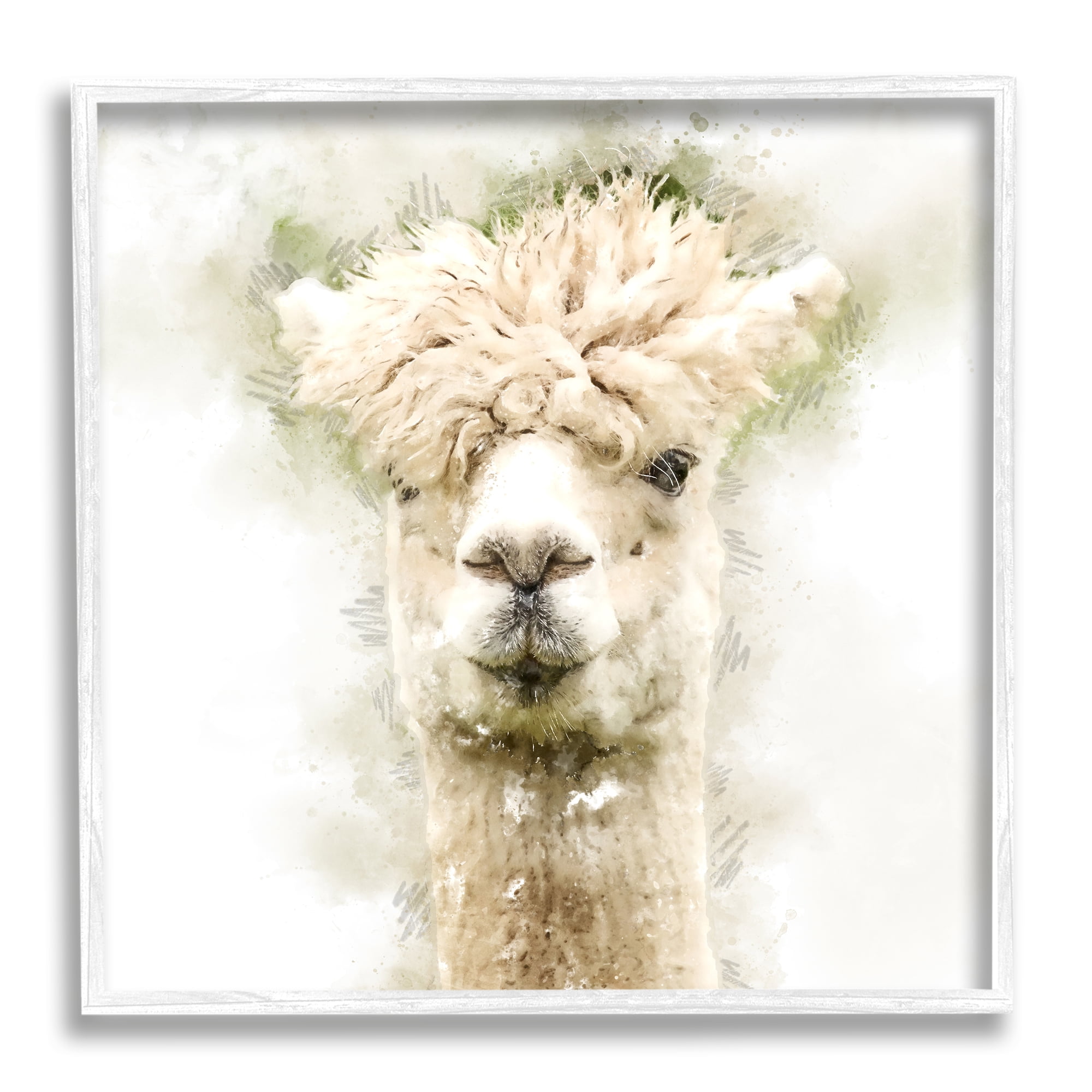 Stupell Alpaca Portrait Abstract Animal Animals & Insects Painting White Framed Art Print Wall Art