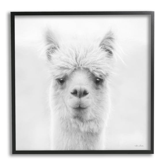 Stupell Alpaca Portrait Country Farm Animal Animals & Insects Photography Black Framed Art Print Wall Art