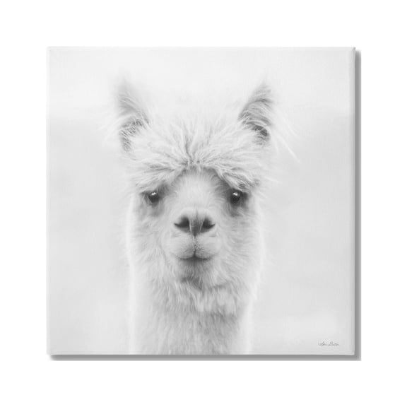 Stupell Alpaca Portrait Country Farm Animal Animals & Insects Photography Gallery Wrapped Canvas Print Wall Art