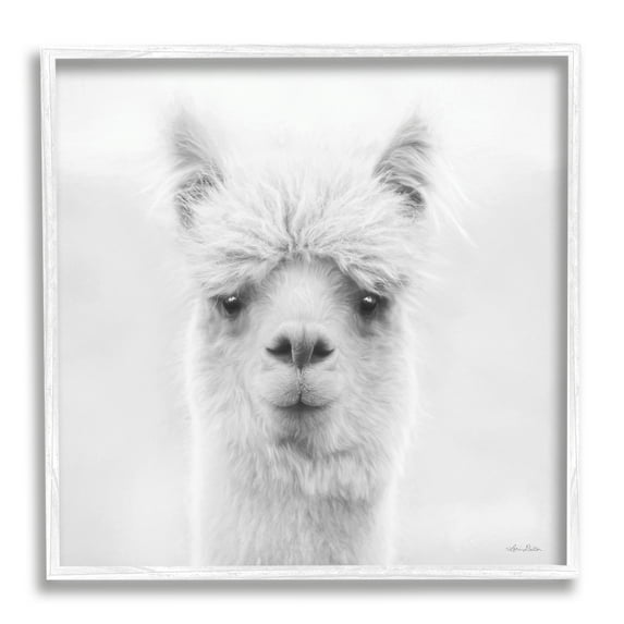 Stupell Alpaca Portrait Country Farm Animal Animals & Insects Photography White Framed Art Print Wall Art