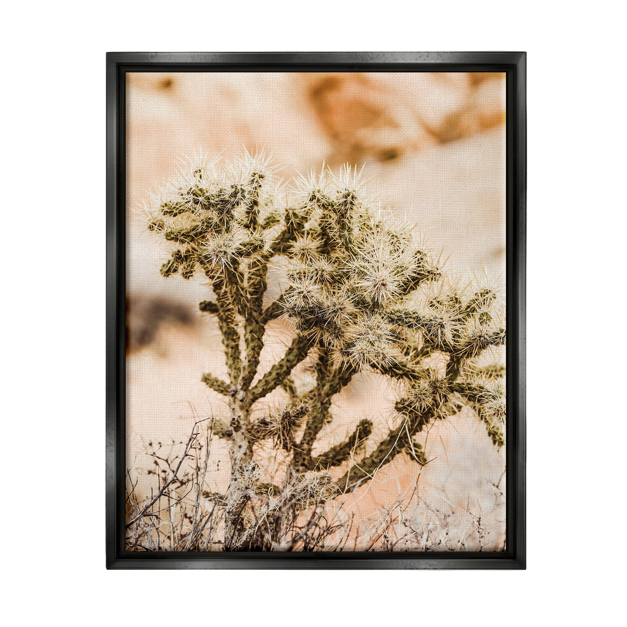 Stupell Arid Cactus Desert Plant Photography Landscape Photography Black Floater Framed Art Print Wall Art