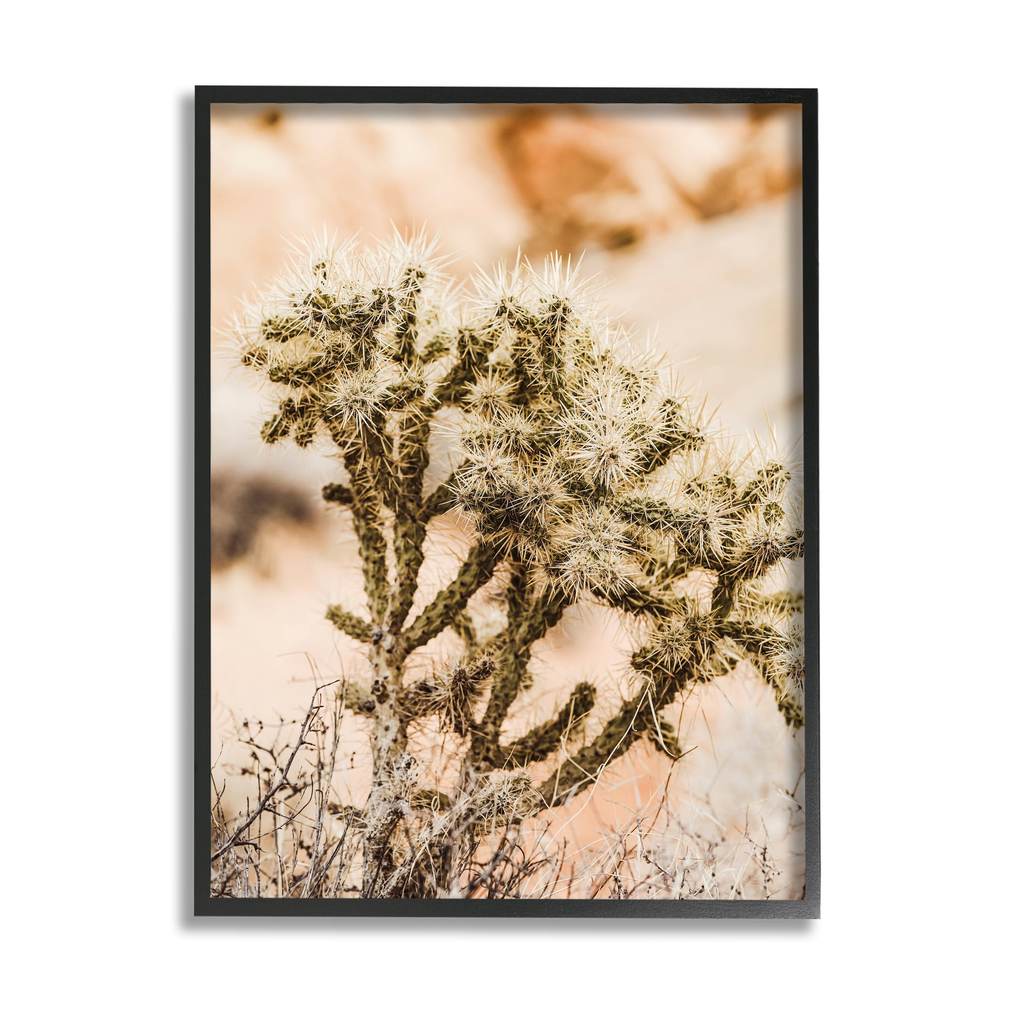Stupell Arid Cactus Desert Plant Photography Landscape Photography Black Framed Art Print Wall Art