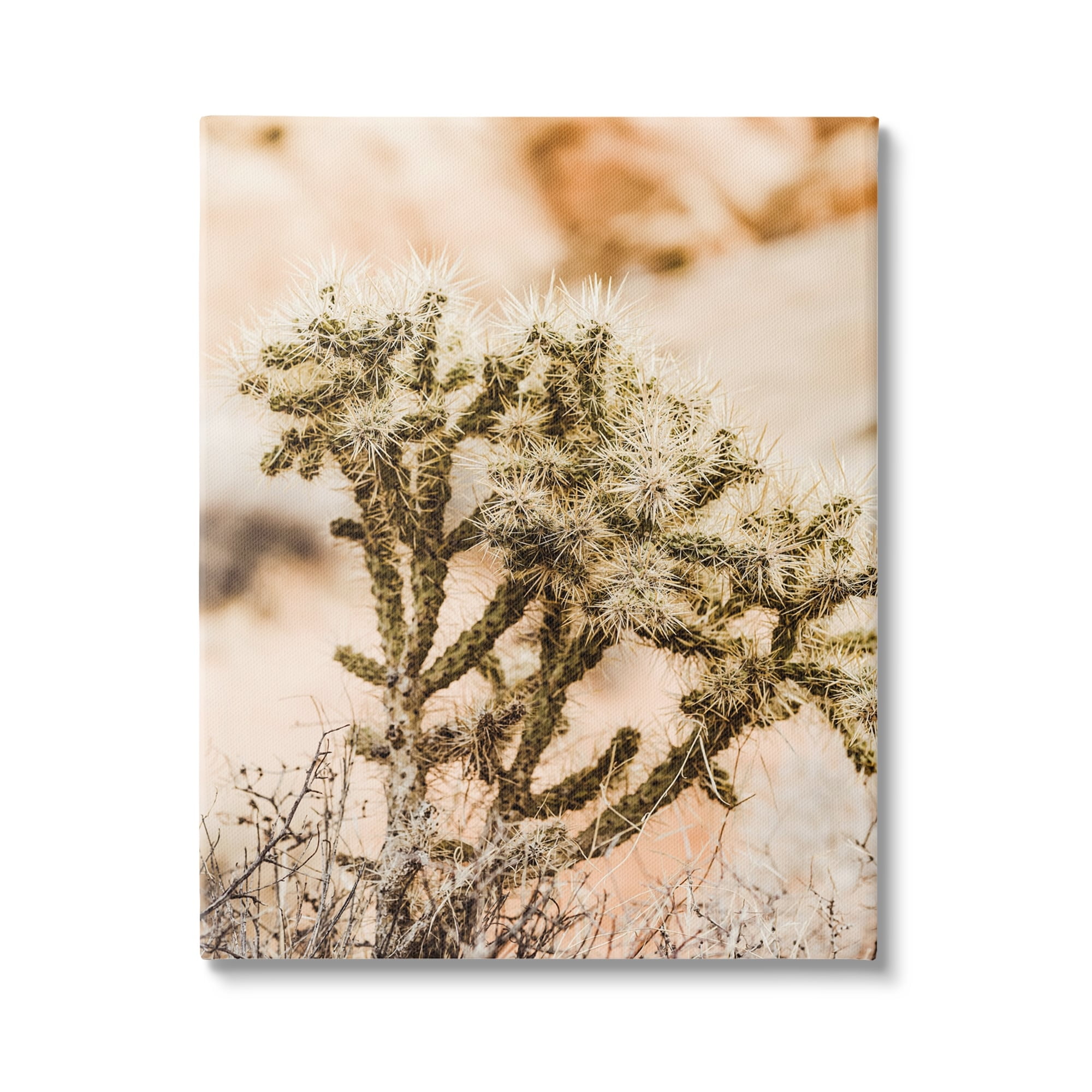 Stupell Arid Cactus Desert Plant Photography Landscape Photography Gallery Wrapped Canvas Print Wall Art