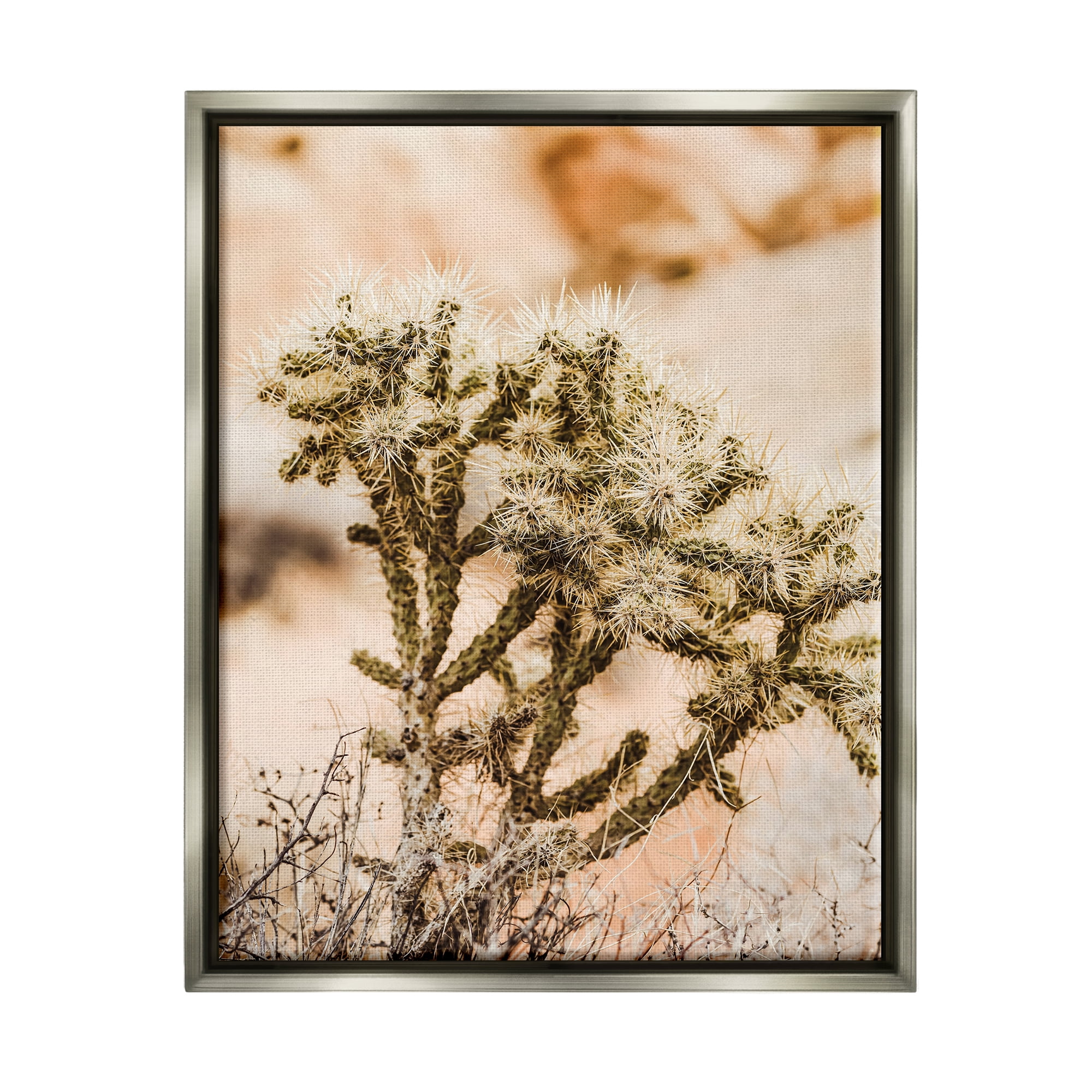 Stupell Arid Cactus Desert Plant Photography Landscape Photography Gray Floater Framed Art Print Wall Art
