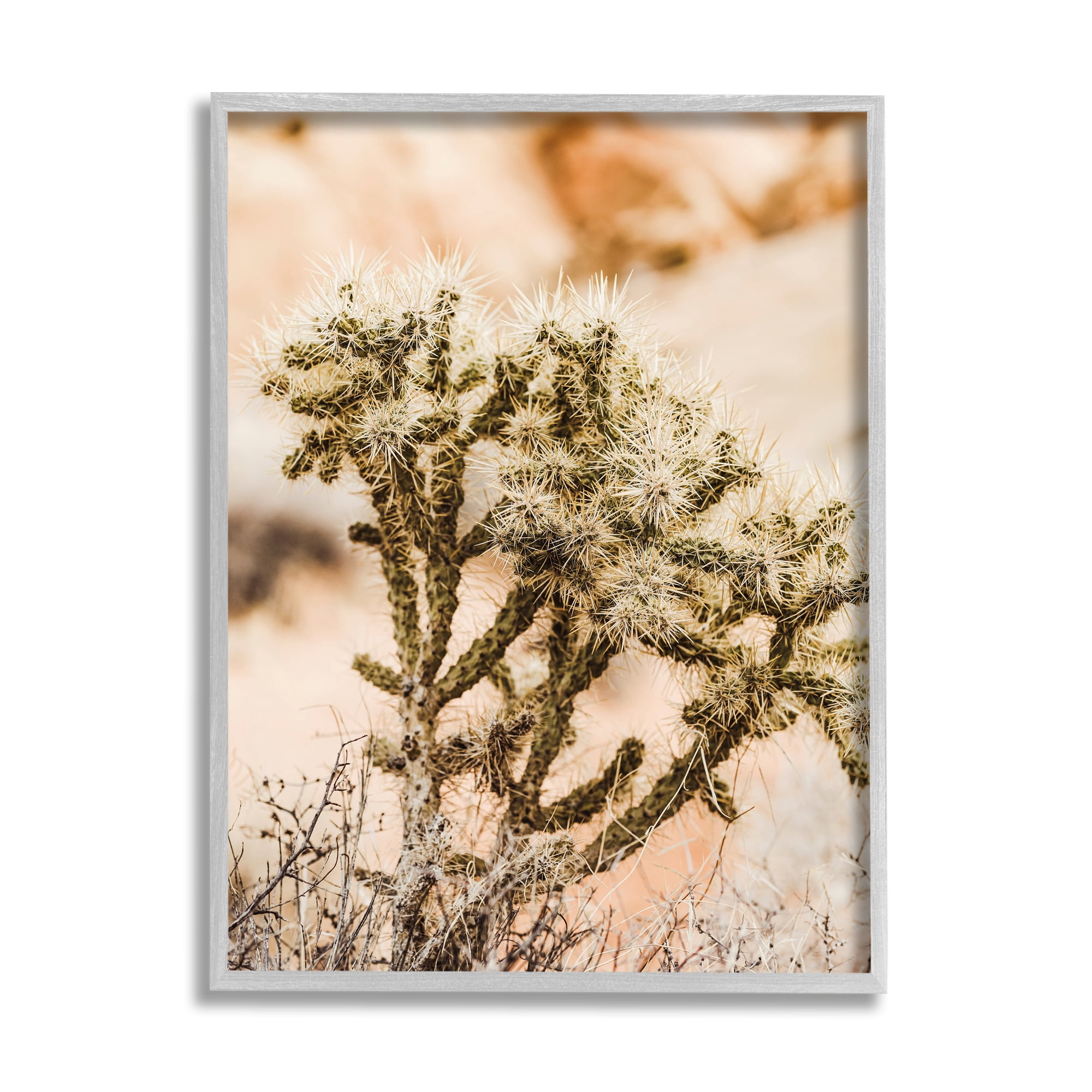 Stupell Arid Cactus Desert Plant Photography Landscape Photography Gray Framed Art Print Wall Art
