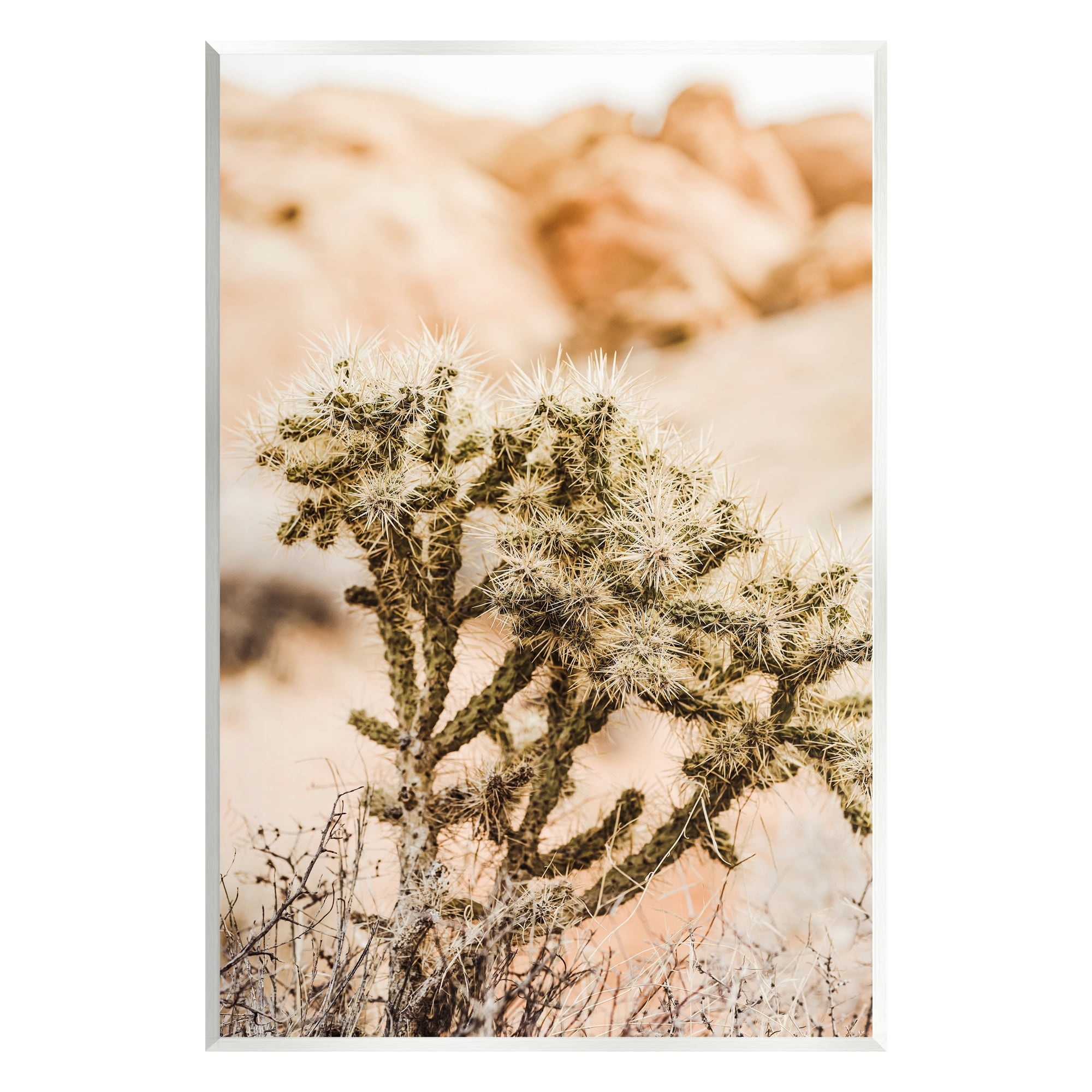 Stupell Arid Cactus Desert Plant Photography Landscape Photography Wall Plaque Unframed Art Print Wall Art