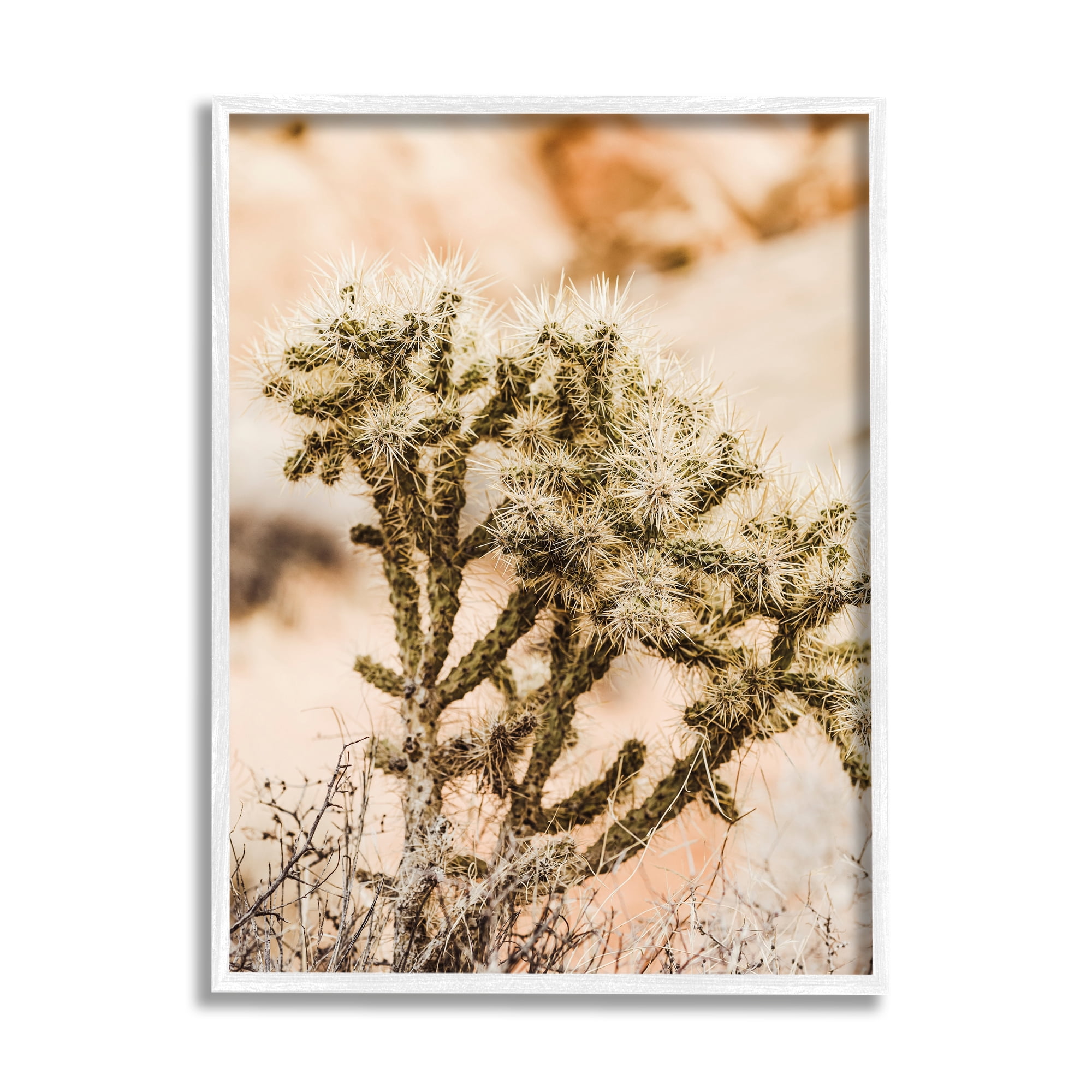Stupell Arid Cactus Desert Plant Photography Landscape Photography White Framed Art Print Wall Art