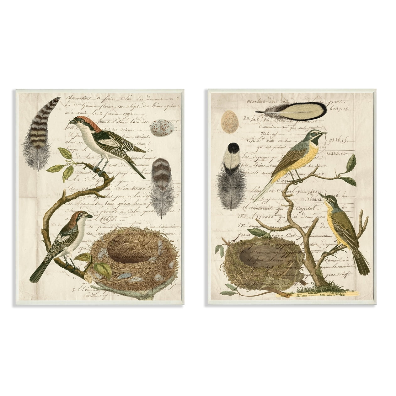 Stupell Avian Journal Bird Illustrations 2pc Multi Piece Wood Wall Art Set, 10 x 15 - 10 x 15