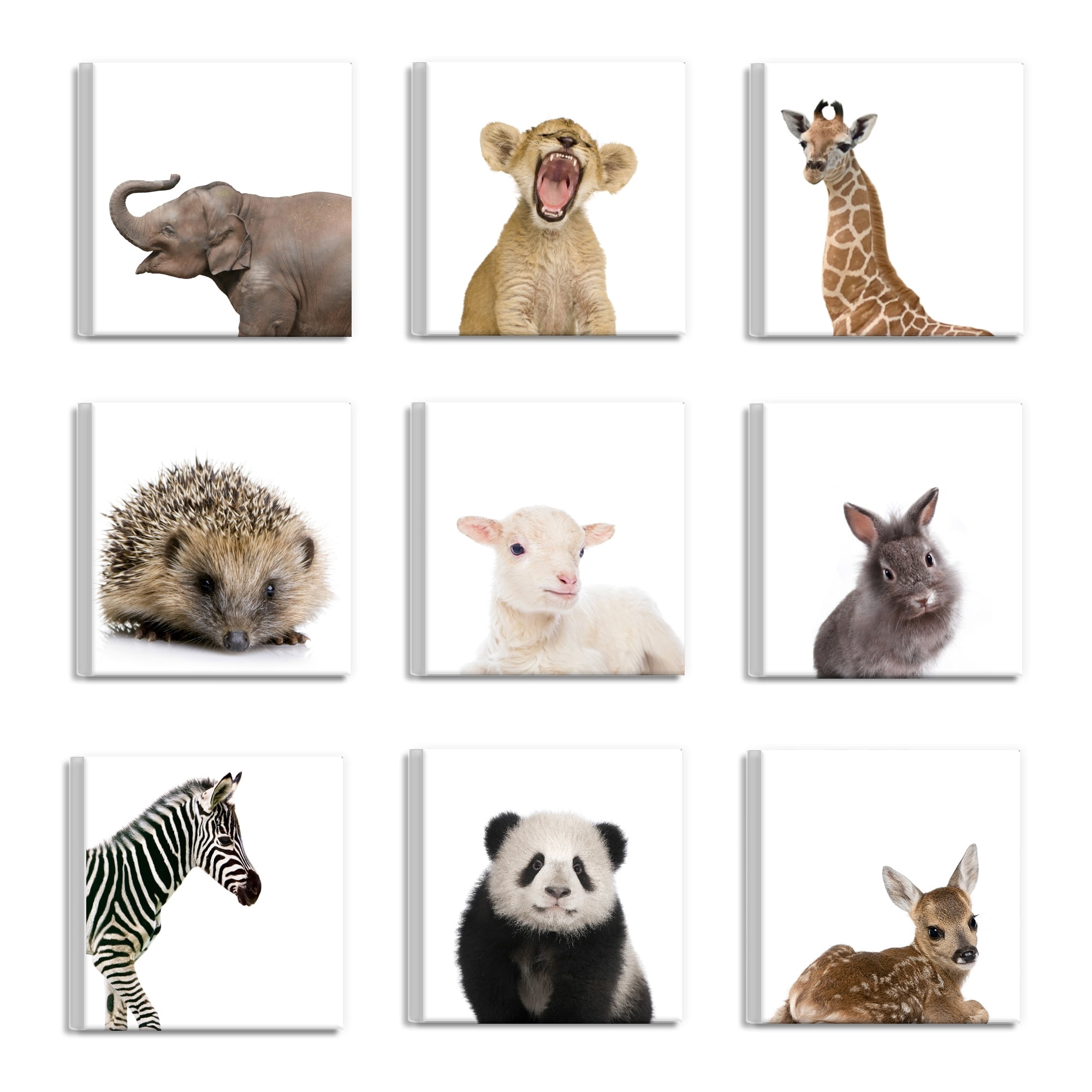 Stupell Baby Animal Portraits 9pc Multi Piece Canvas Wall Art Set