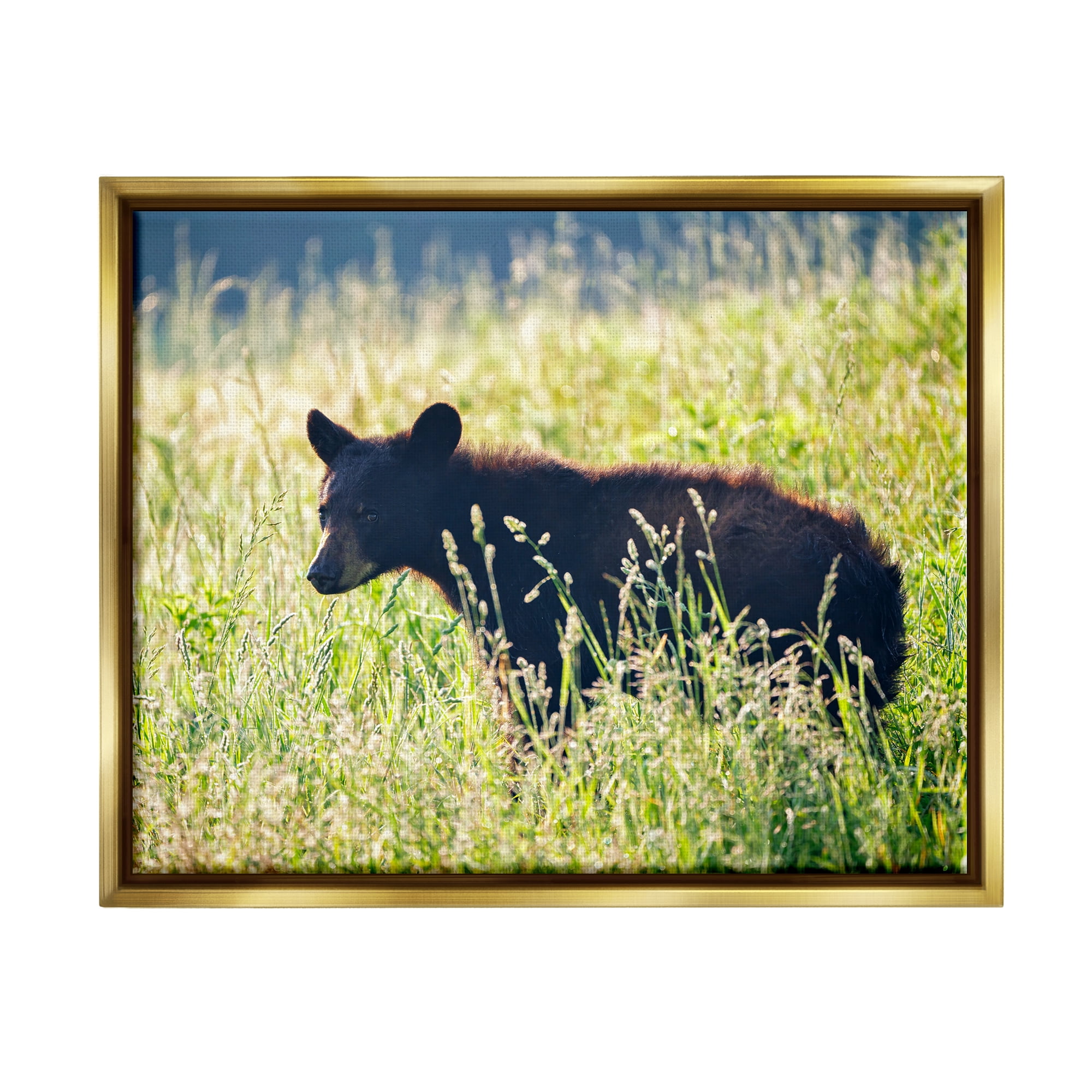 Stupell Baby Bear Tall Grassland Landscape Photography Gold Floater Framed Art Print Wall Art