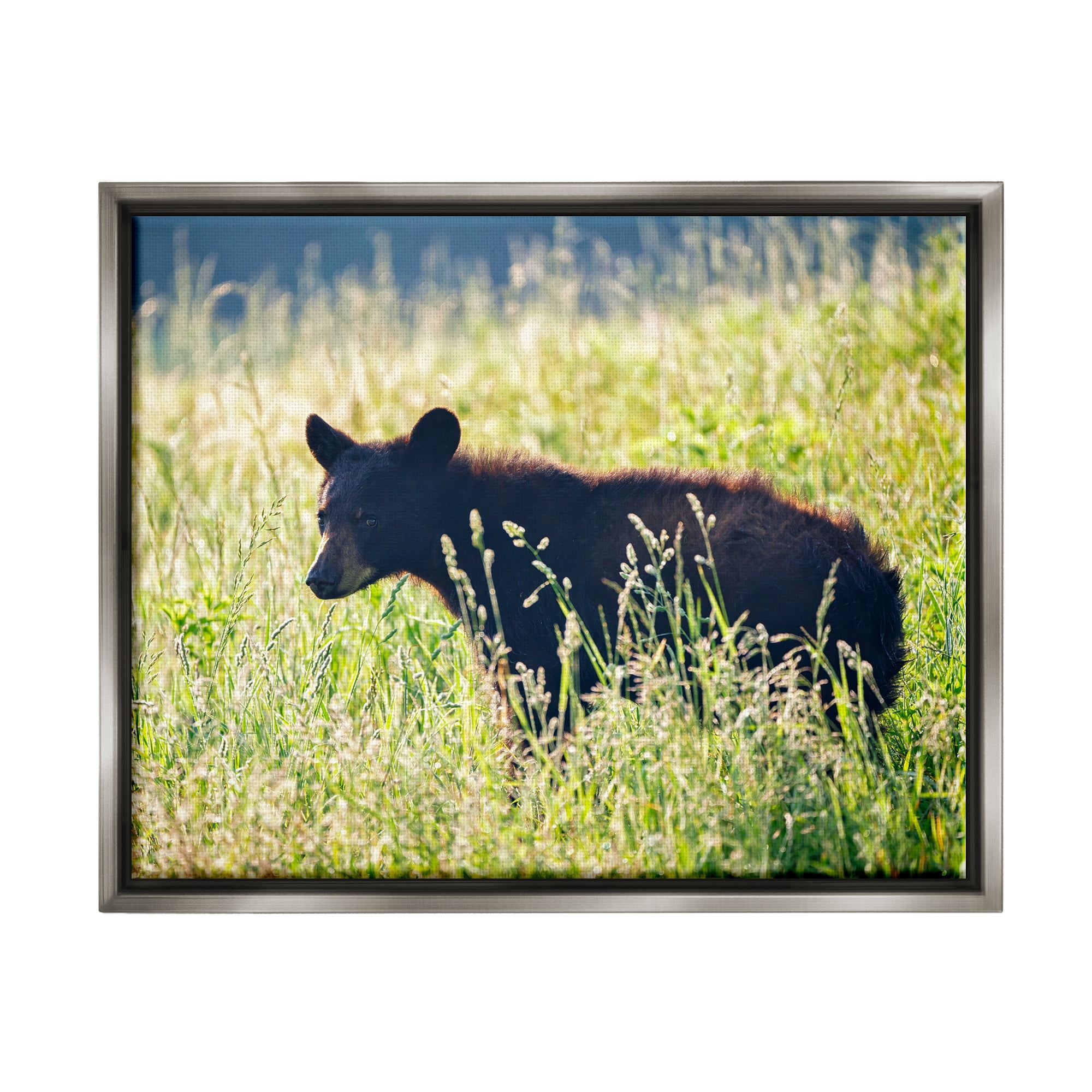 Stupell Baby Bear Tall Grassland Landscape Photography Gray Floater Framed Art Print Wall Art