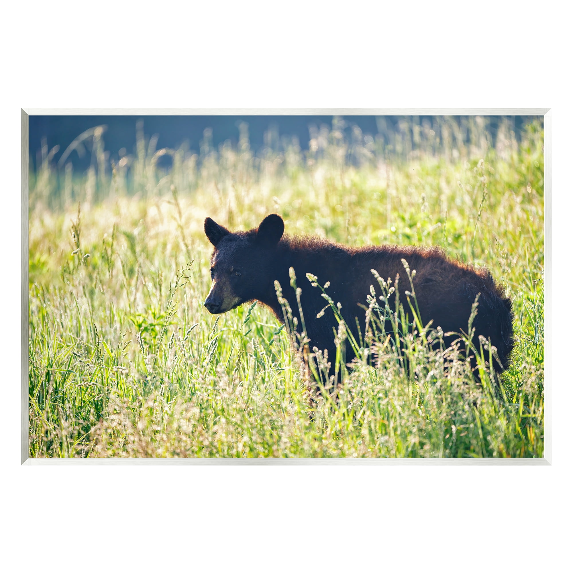 Stupell Baby Bear Tall Grassland Landscape Photography Wall Plaque Unframed Art Print Wall Art
