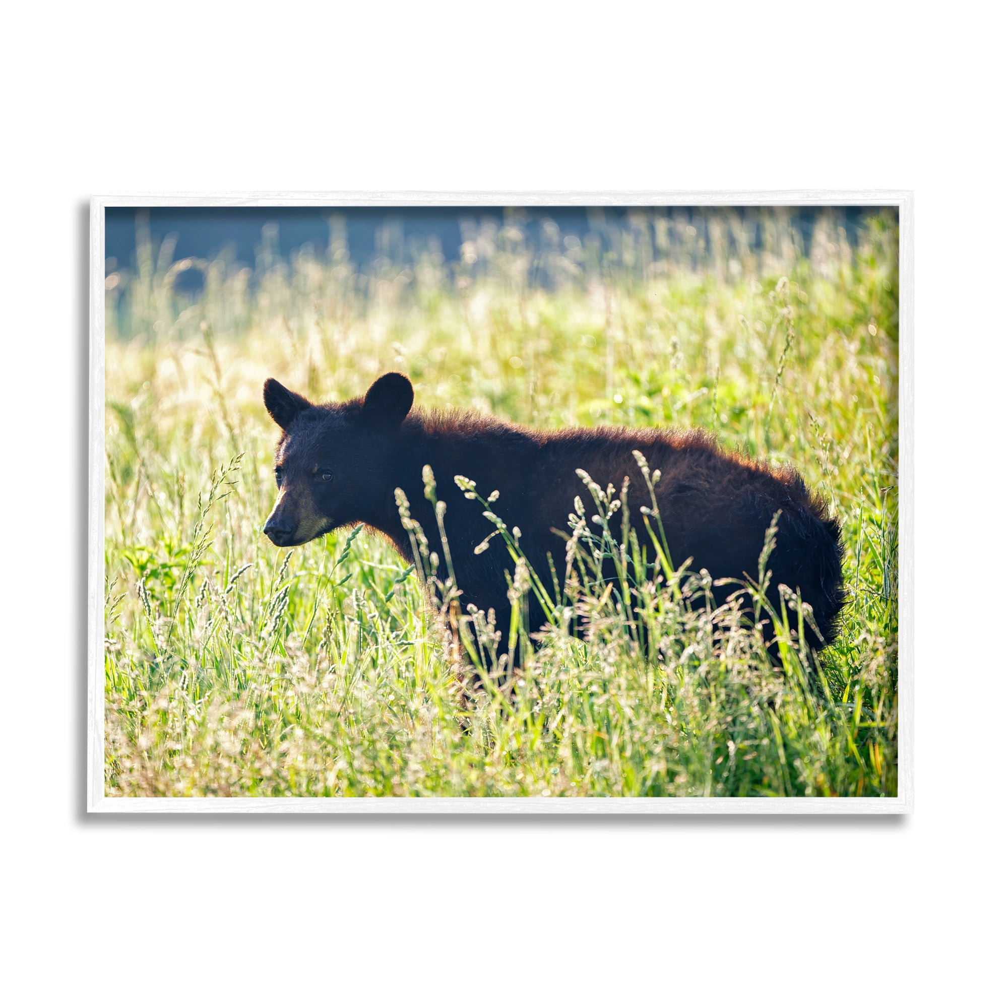 Stupell Baby Bear Tall Grassland Landscape Photography White Framed Art Print Wall Art