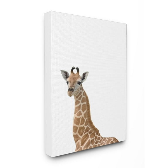 Stupell Baby Giraffe' Studio Photo Stretched Canvas Wall Art 16 x 20