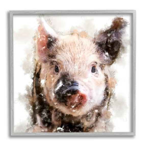 Stupell Baby Pig Face Abstract Portrait Animals & Insects Painting Gray Framed Art Print Wall Art