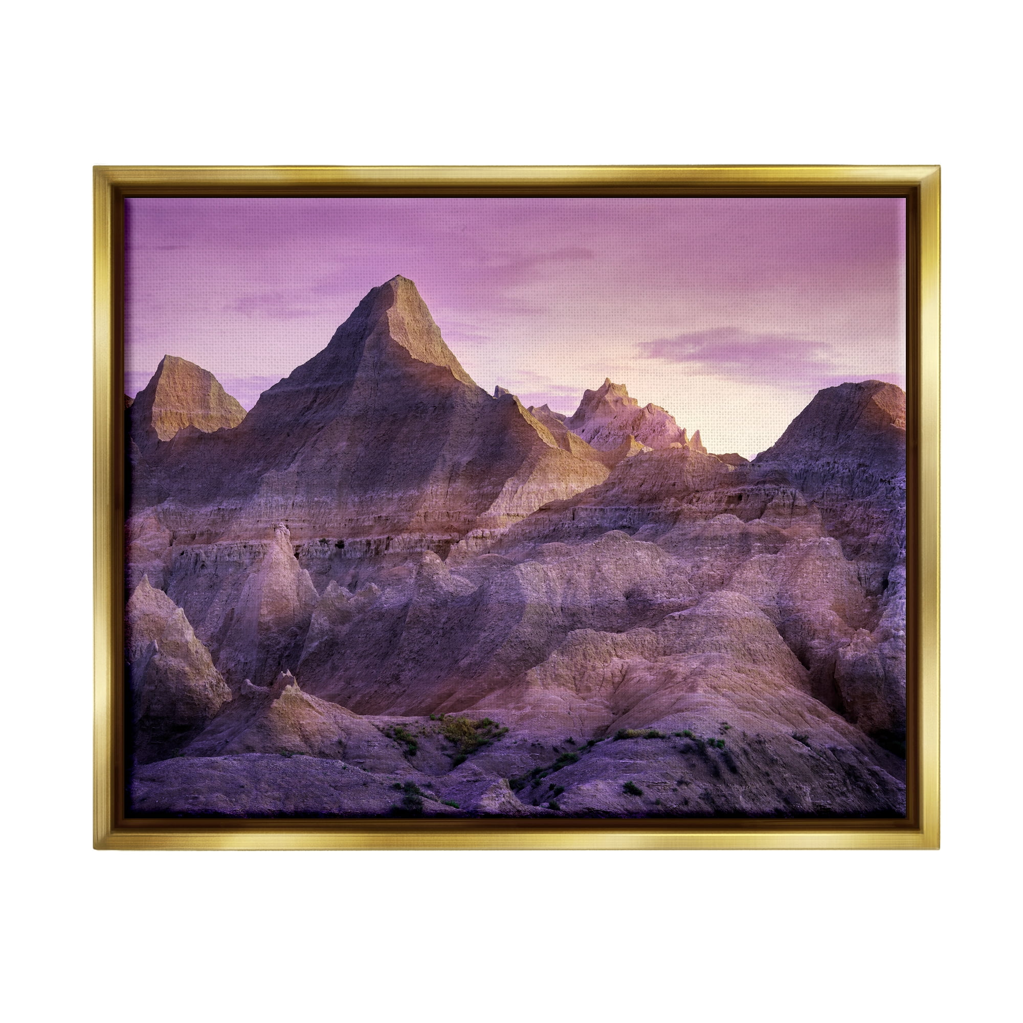 Stupell Badlands Canyon Cliffs Landscape Landscape Photography Gold Floater Framed Art Print Wall Art