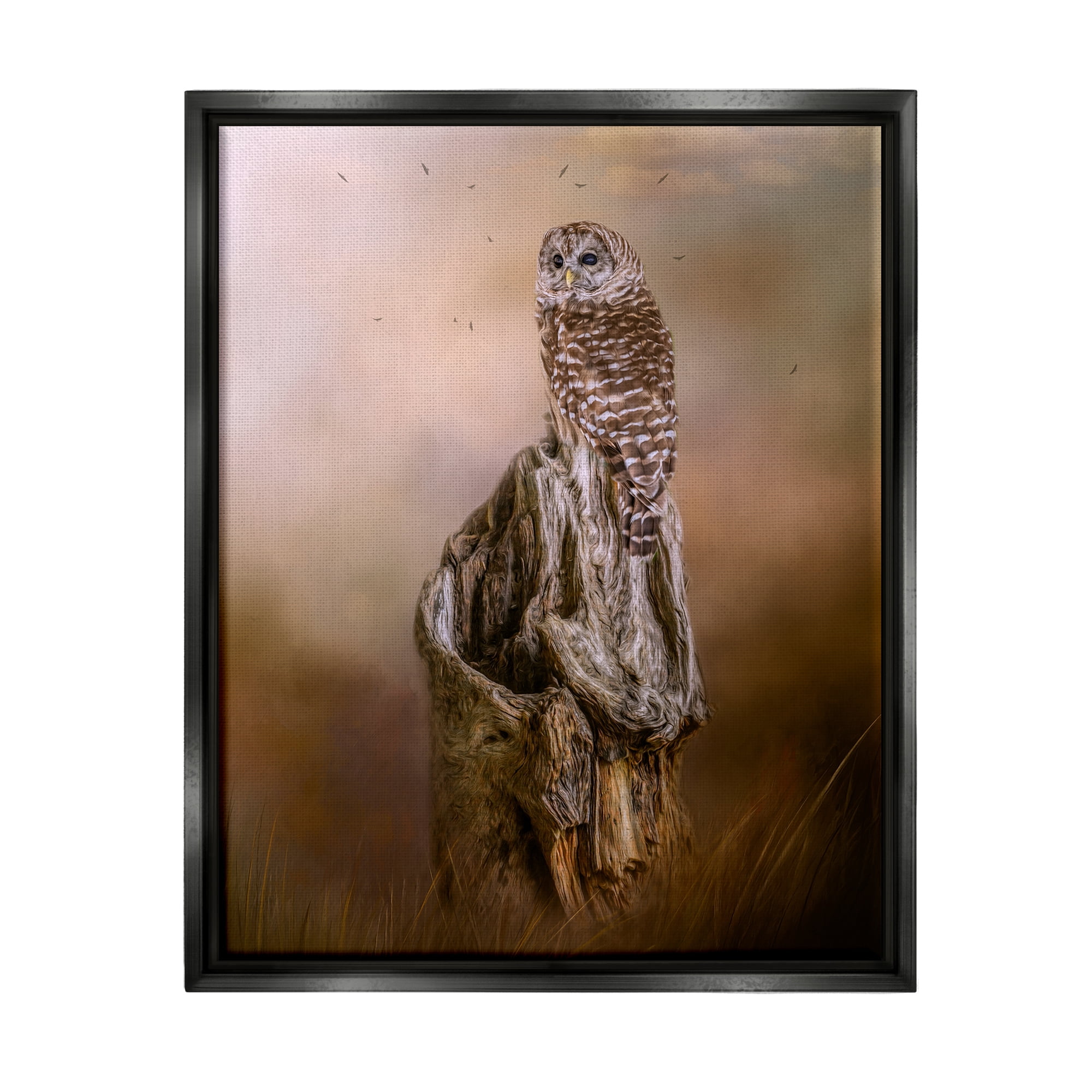 Stupell Barred Owl Perched Tree Trunk Nature Animals & Insects Photography Black Floater Framed Art Print Wall Art