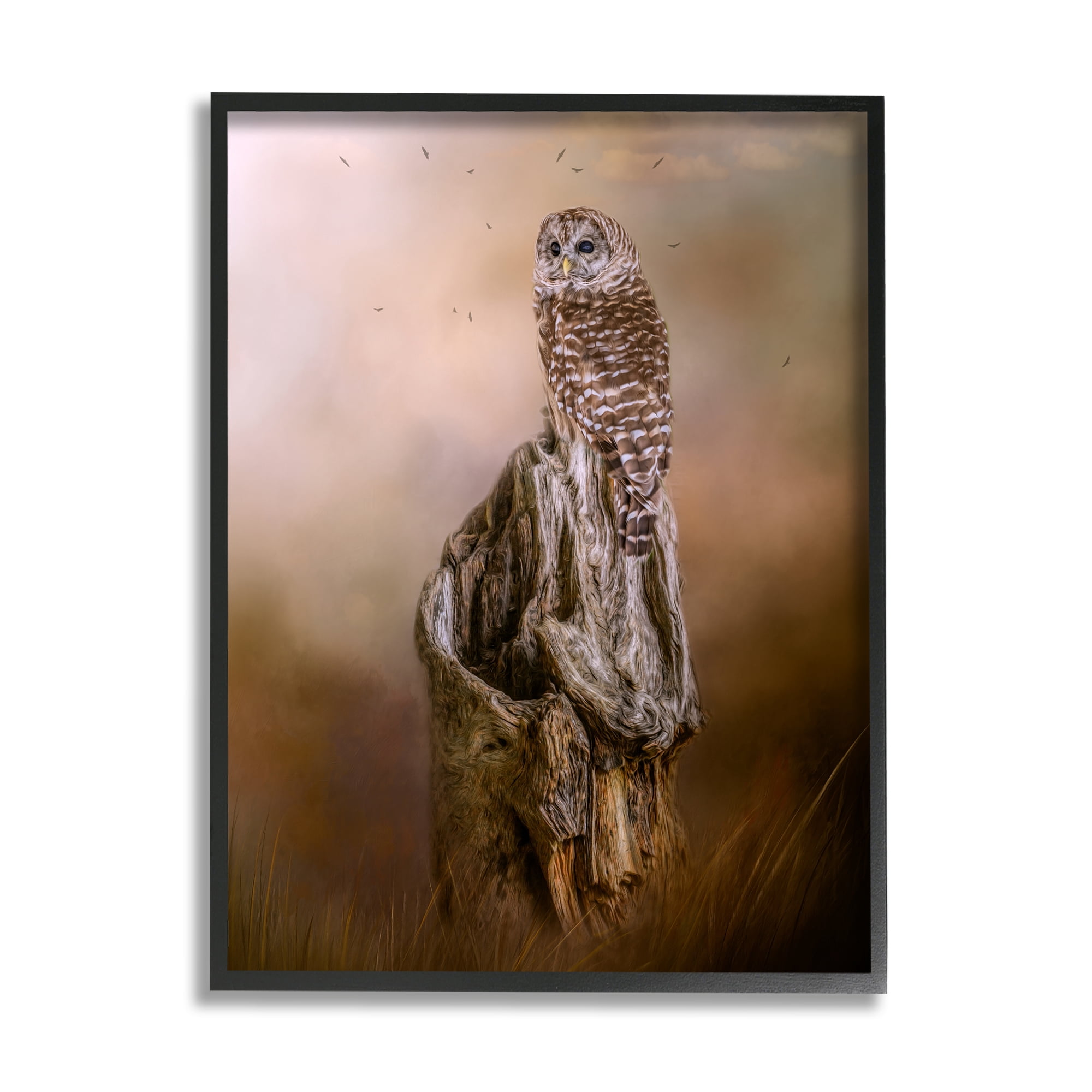Stupell Barred Owl Perched Tree Trunk Nature Animals & Insects Photography Black Framed Art Print Wall Art