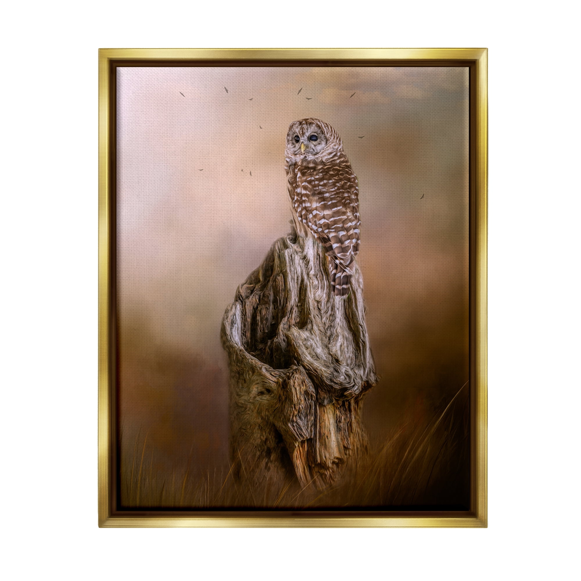 Stupell Barred Owl Perched Tree Trunk Nature Animals & Insects Photography Gold Floater Framed Art Print Wall Art